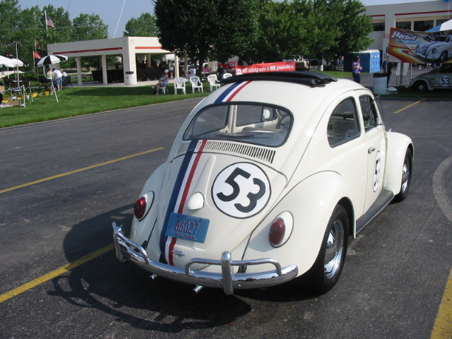 Copy of IMG_8362.JPG